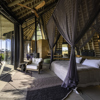 Jao Camp Luxury Lodges In Okavango Delta Yellow Zebra
