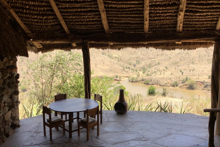Borana 2 best views kenya yellow zebra safaris
