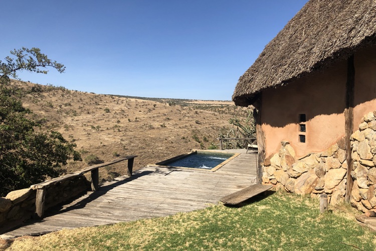 Borana 3 best views kenya yellow zebra safaris