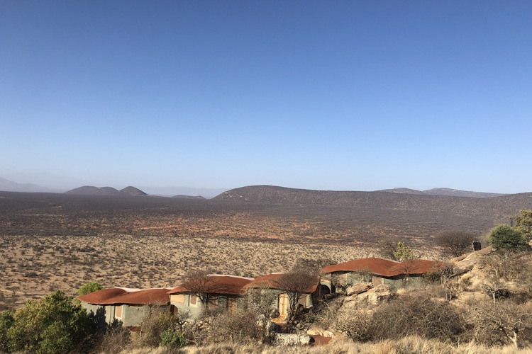 Saruni Samburu best views kenya yellow zebra safaris