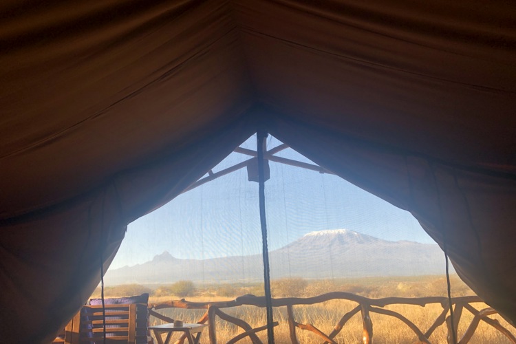 Satao 1 best views kenya yellow zebra safaris