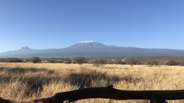 Satao 2 best views kenya yellow zebra safaris