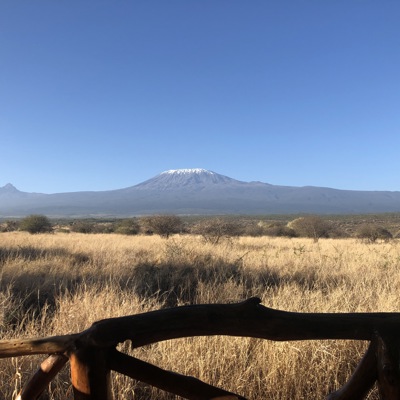 Satao 2 best views kenya yellow zebra safaris
