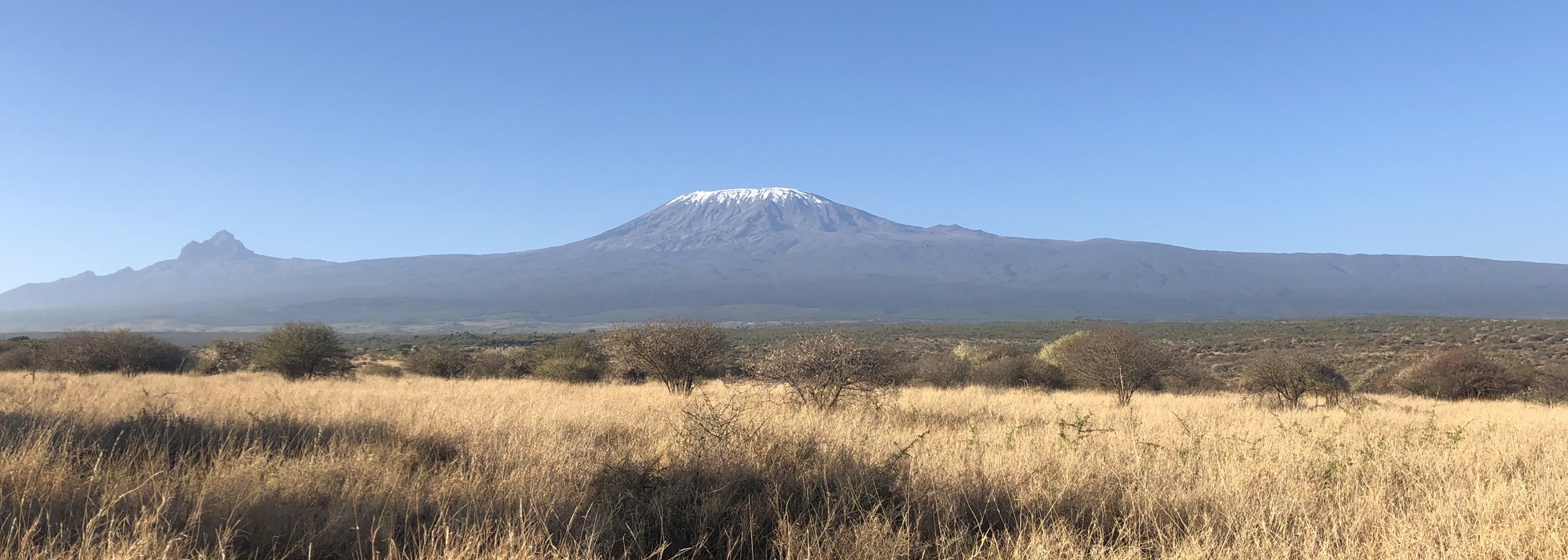 Satao 2 best views kenya yellow zebra safaris