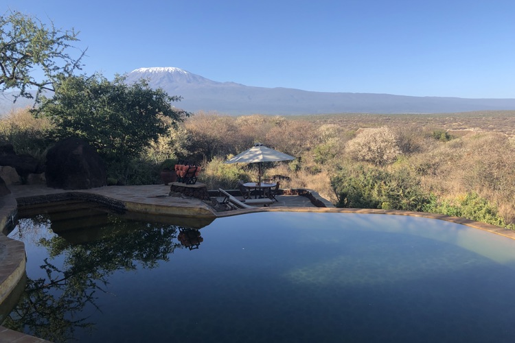 Satao 3 best views kenya yellow zebra safaris