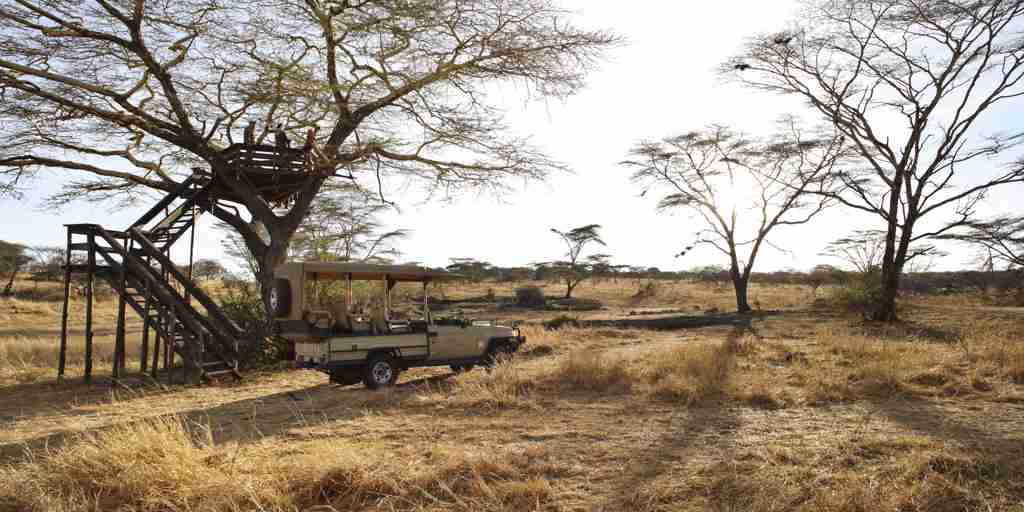 platform mwiba lodge tanzania yellow zebra safaris