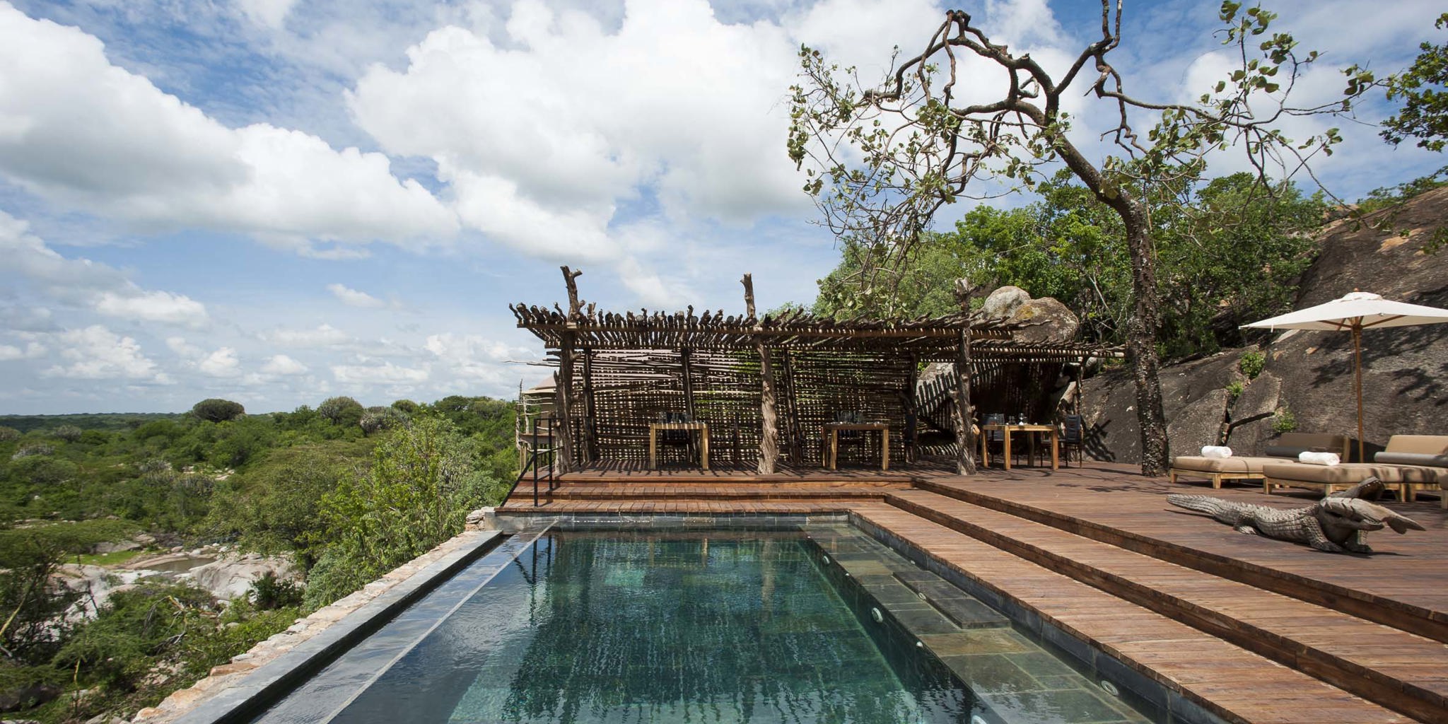 pool mwiba lodge tanzania yellow zebra safaris