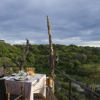 private dinner balcony mwiba lodge tanzania yellow zebra safaris