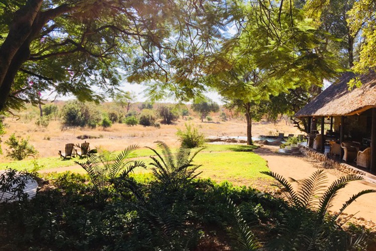 5.motswari south africa safari honeymoon yellow zebra safaris