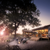 linyanti expeditions african bush camps botswana