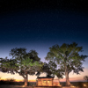 linyanti expeditions african bush camps botswana dook