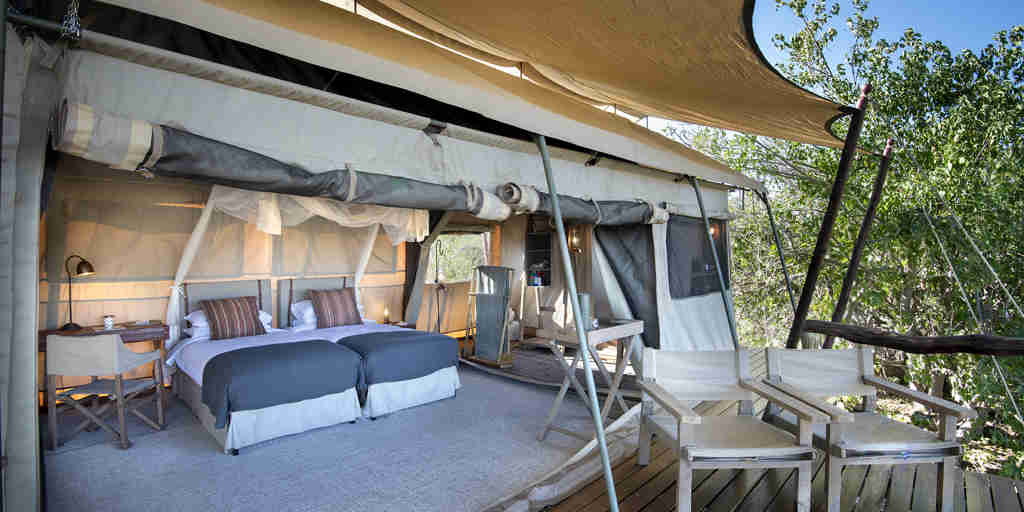 linyanti expeditions botswana twin tent room