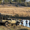 Linyanti Expeditions Game Drive botswana