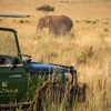 sand rivers tanzania game drives