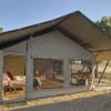 Kwihala Camp Asilia | Camps in Ruaha Kwihala Tented Camp, Ruaha, Tanzania