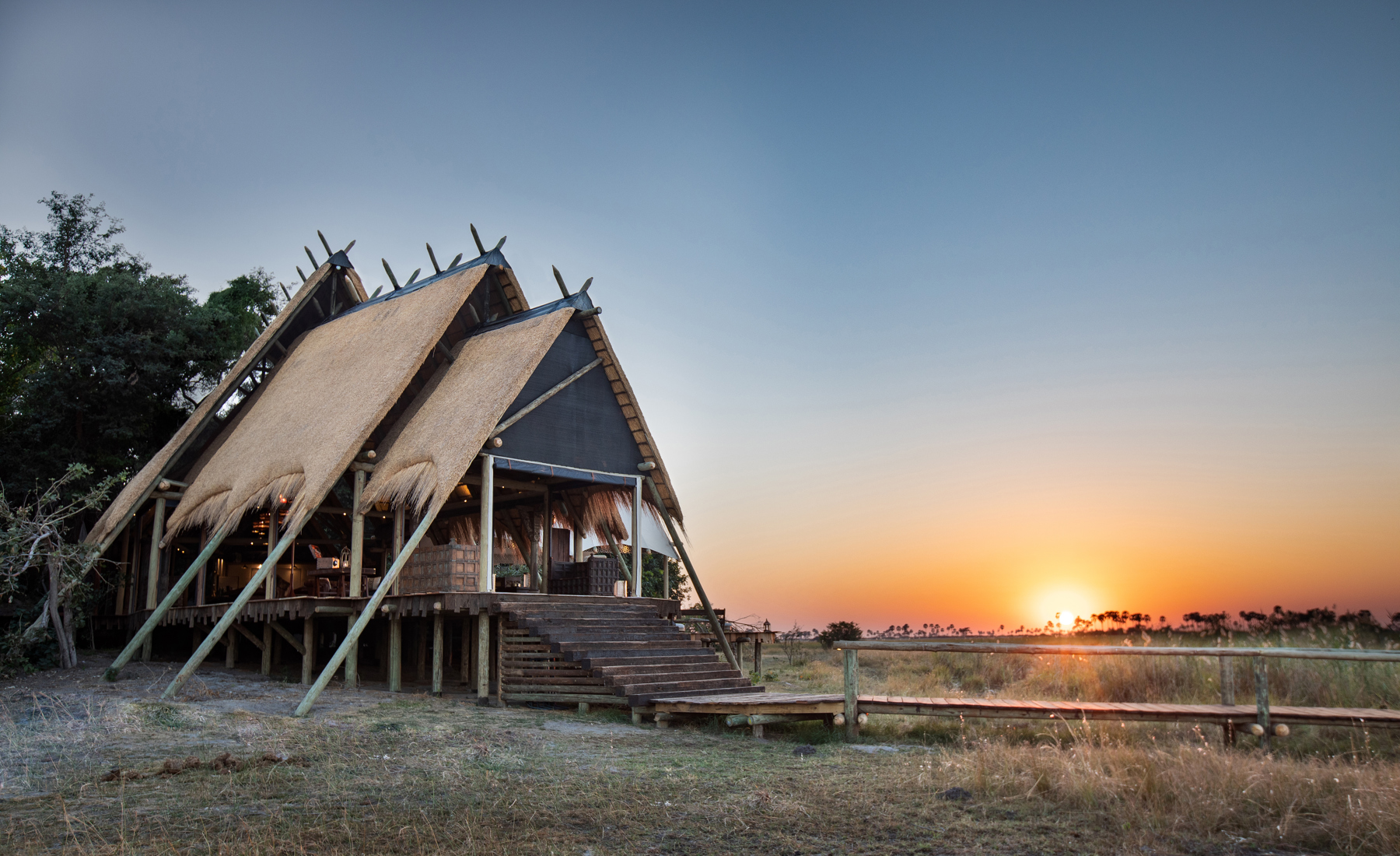selinda camp botswana sun rise yellow zebra safaris