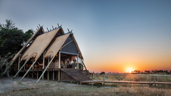 selinda camp botswana sun rise yellow zebra safaris