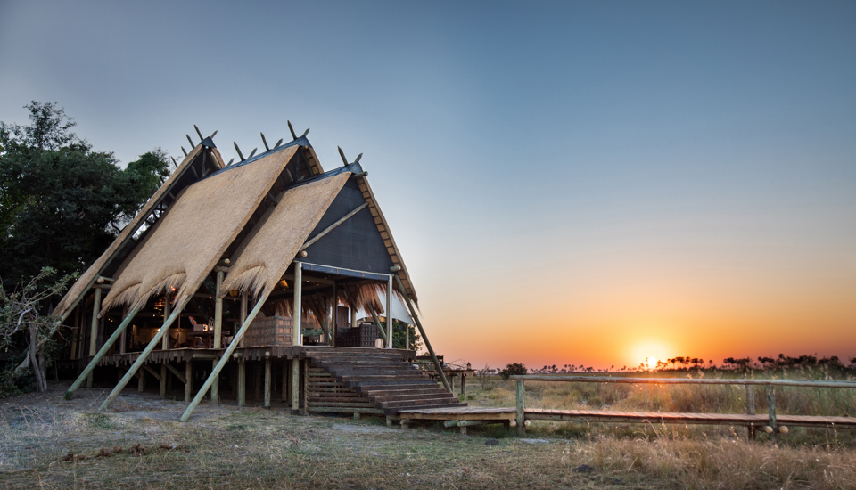 selinda camp botswana sun rise yellow zebra safaris