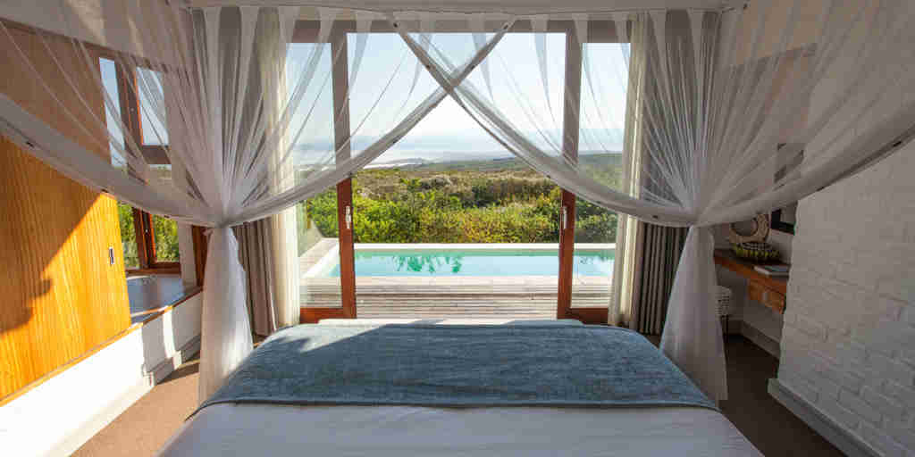 forest suite pool bedroom 01 grootbos forest lodge south africa yellow zebra safaris