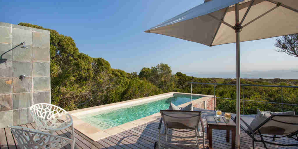 forest suite pool exterior grootbos forest lodge south africa yellow zebra safaris