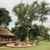 Chiawa Camp Luxury Camp and Lodges in Zambia Yellow Zebra Safaris