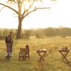 sundowners ol pejeta bush camp kenya yellow zebra safaris