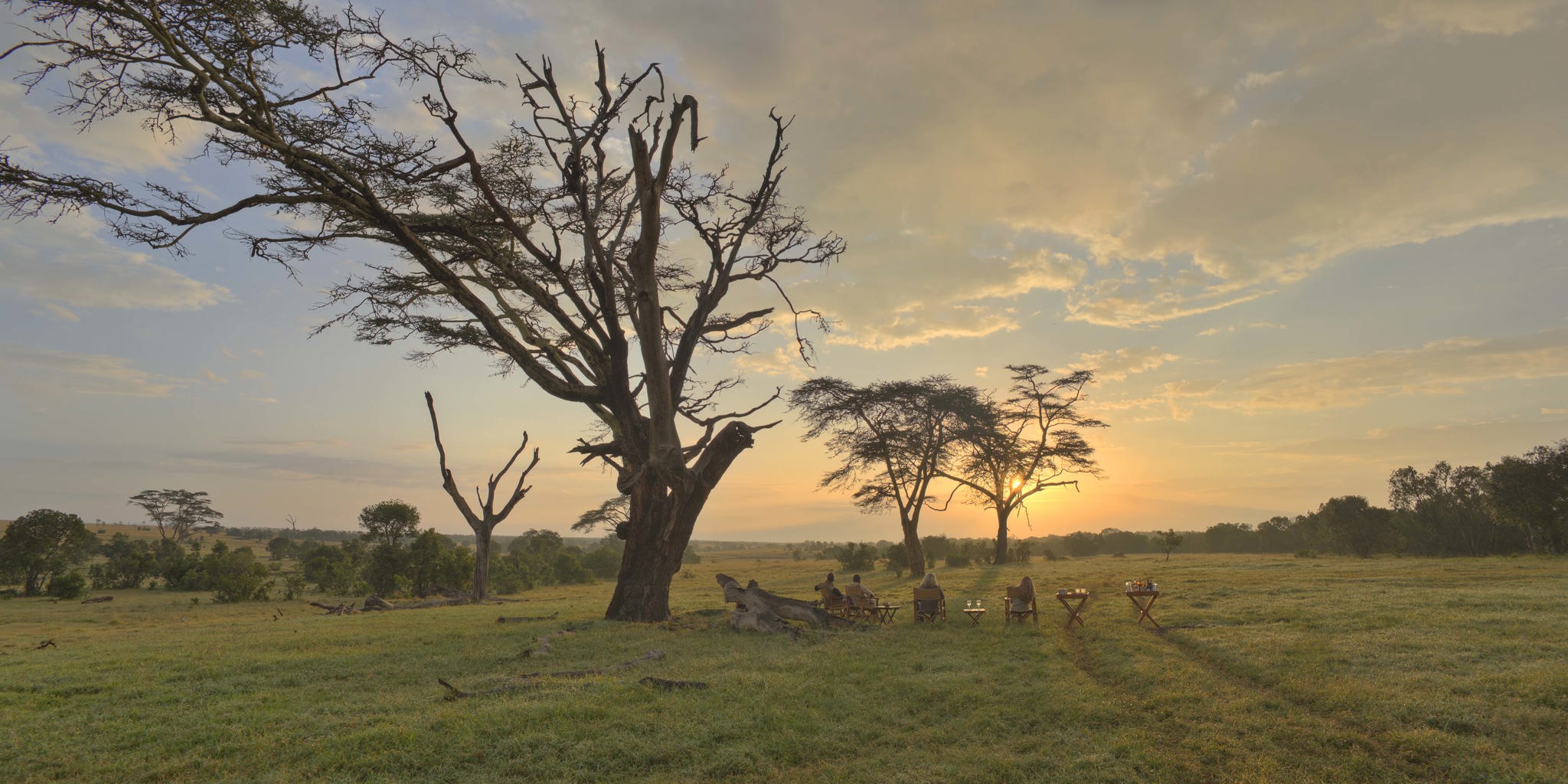 sunset ol pejeta bush camp kenya yellow zebra safaris