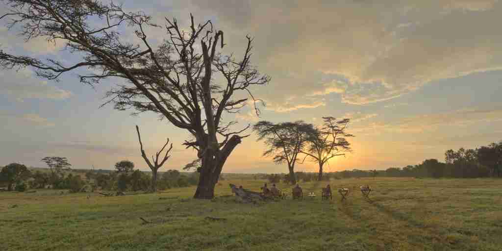 sunset ol pejeta bush camp kenya yellow zebra safaris