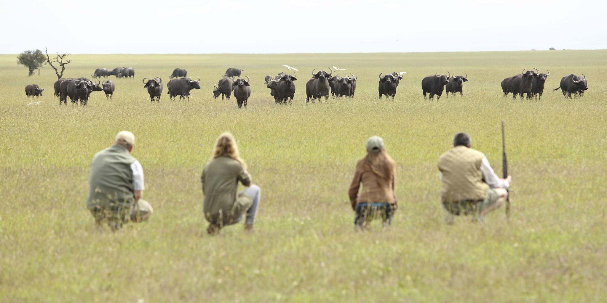 walking safari ol pejeta bush camp kenya yellow zebra safaris