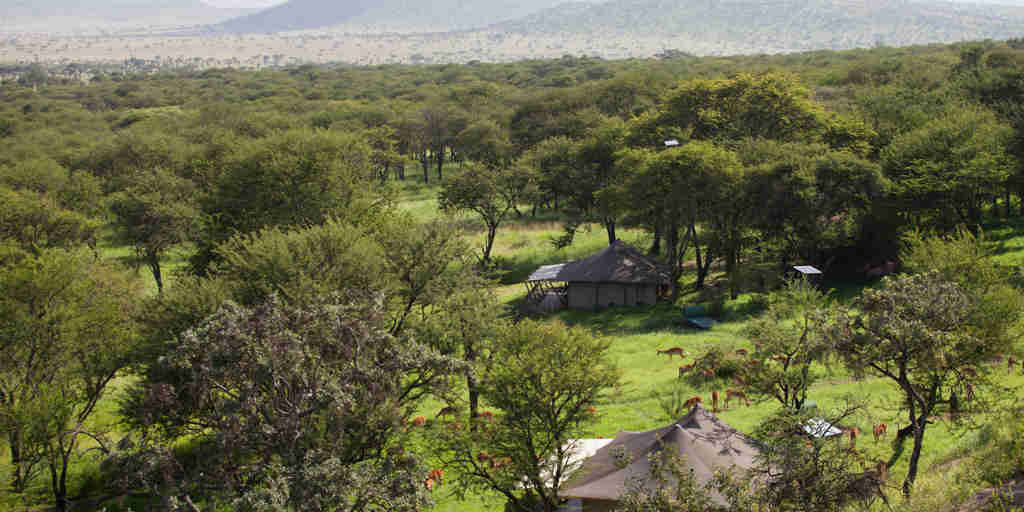 serengeti pioneer camp elewana tanzania yellow zebra safaris