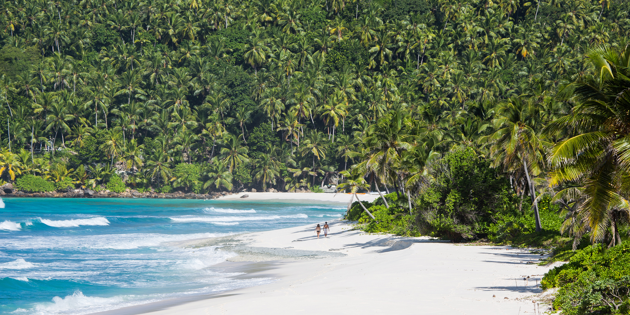 north island beach seychelles yellow zebra safaris
