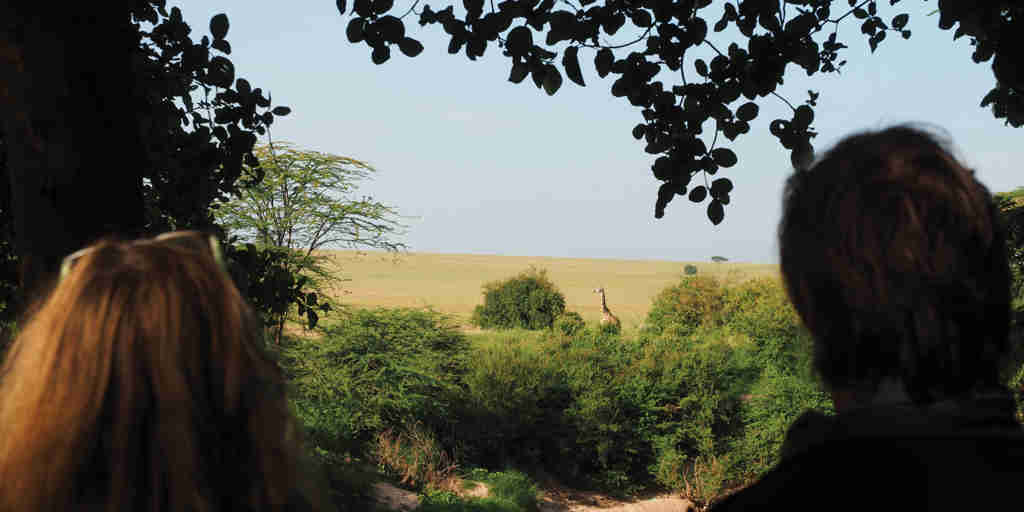 view from basecamp maasai mara kenya yellow zebra safaris