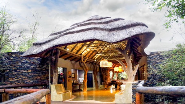 madikwe hills main reception south africa yellow zebra safaris