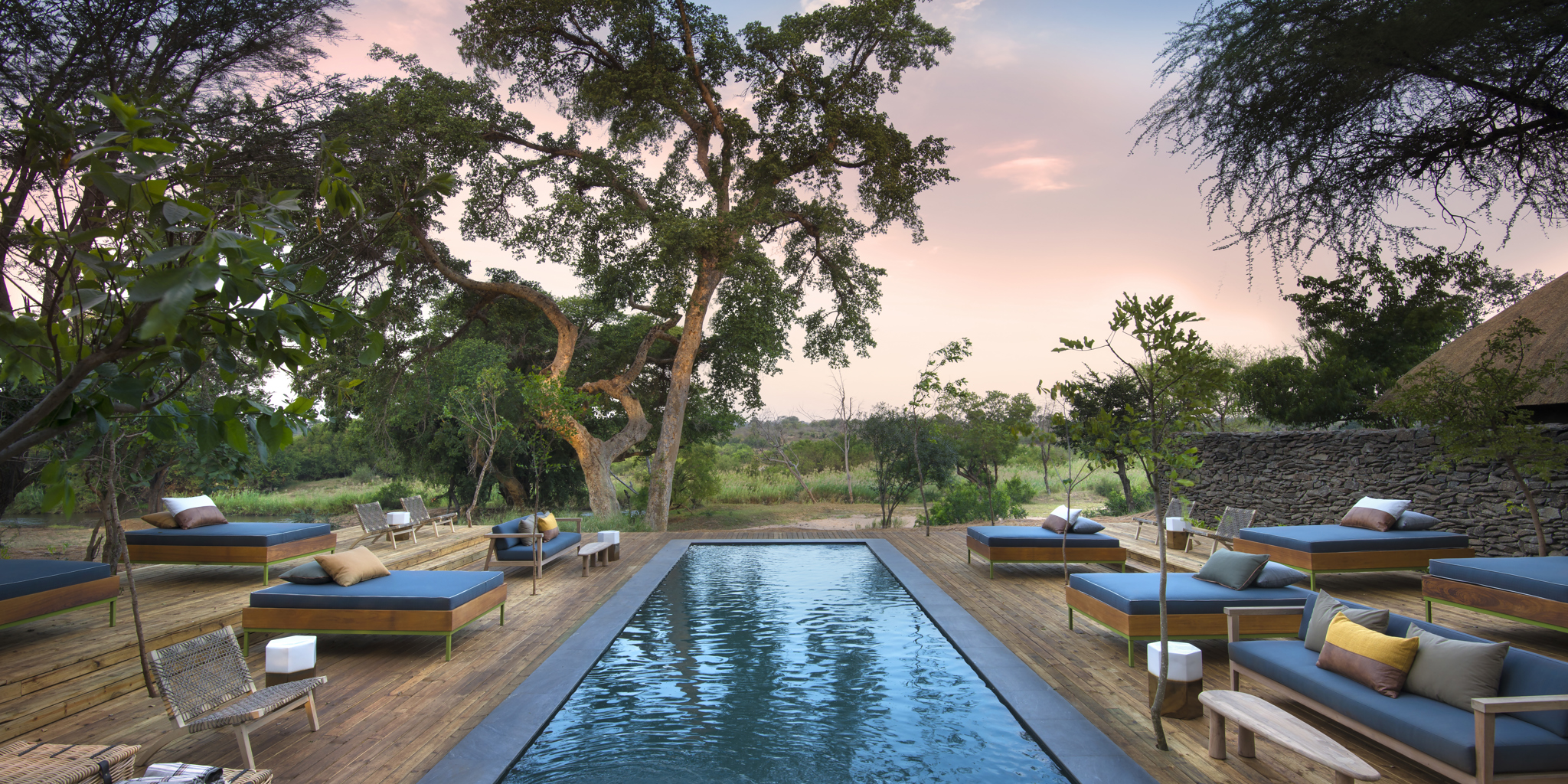 lion sands river lodge pool south africa yellow zebra safaris