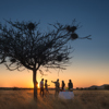 sundowners ongava lodge namibia yellow zebra safaris