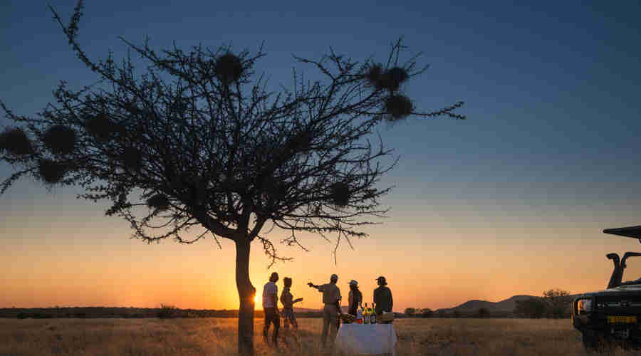 sundowners ongava lodge namibia yellow zebra safaris