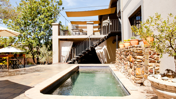 swimming pool olive grove guesthouse namibia yellow zebra safaris