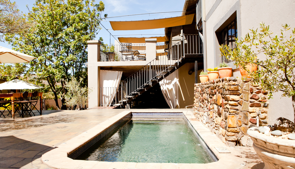 swimming pool olive grove guesthouse namibia yellow zebra safaris