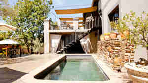 swimming pool olive grove guesthouse namibia yellow zebra safaris