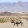Wilderness Doro Nawas Camp | Damaraland