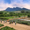 5.Chefs amarching through the kitchen garden with this morning's haul