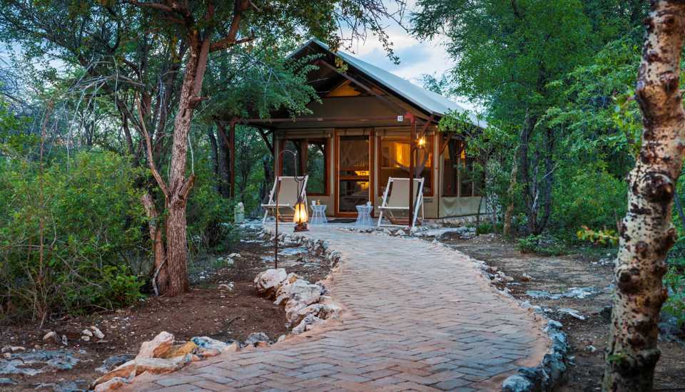 tent view mushara bush lodge namibia yellow zebra safaris