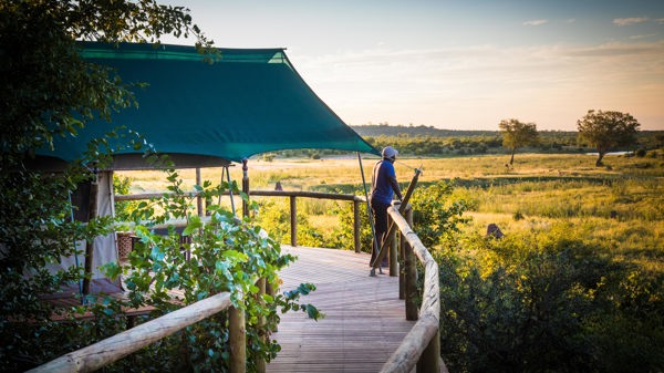 Deteema springs zimbabwe lodge yellow zebra safaris
