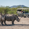 Namibia Highlights Guided Drive (11n) – Classic | Yellow Zebra Safaris