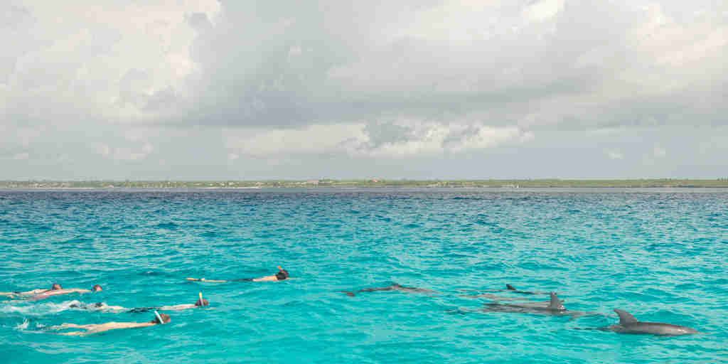 snorkeling dolphins matemwe beach house tanzania yellow zebra safaris