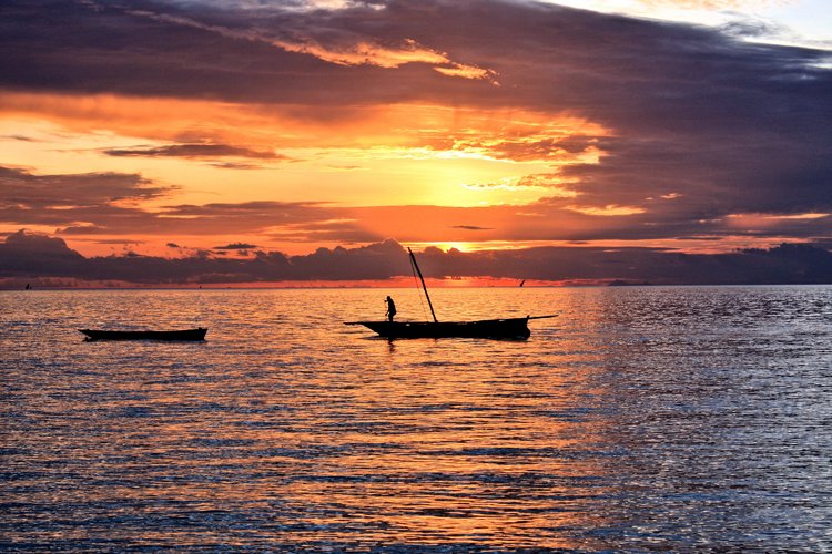 sunset matemwe beach house tanzania yellow zebra safaris