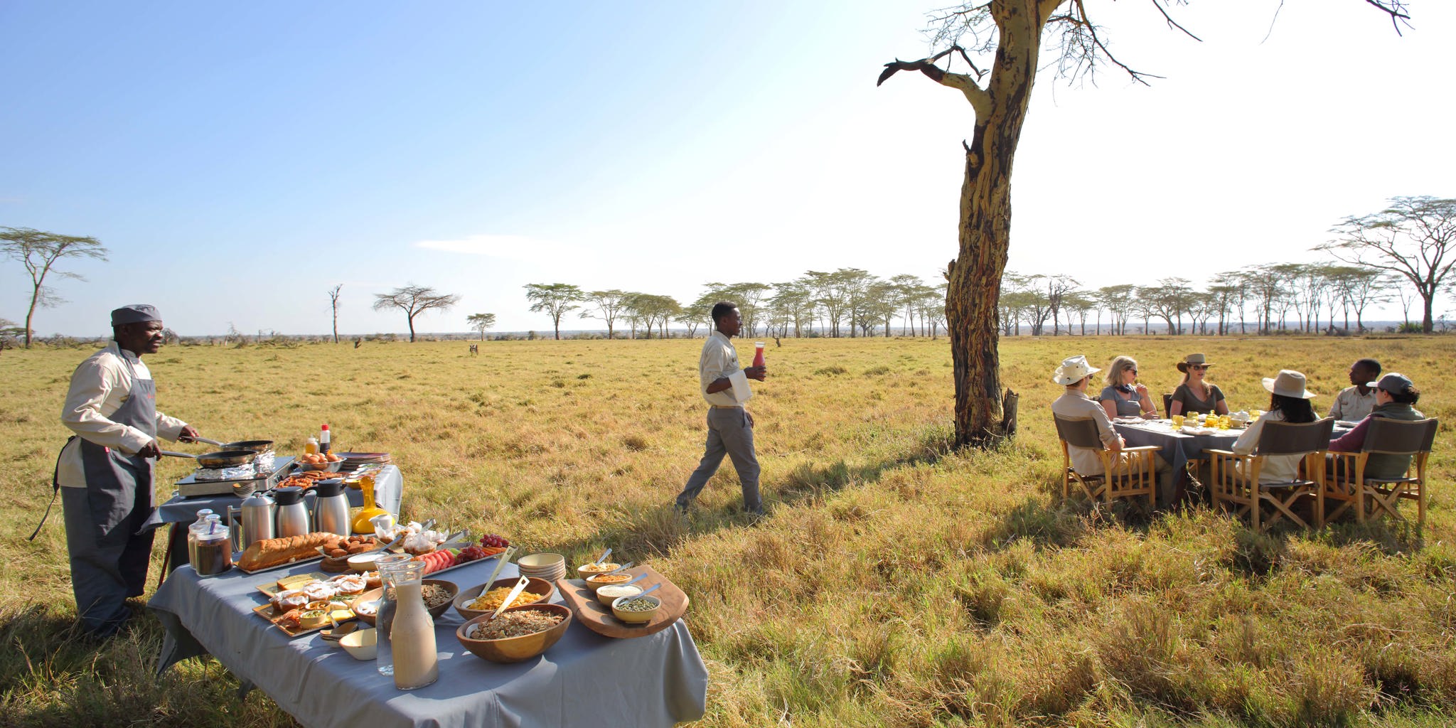 breakfast fever tree forest namiri plains tanzania yellow zebra safaris