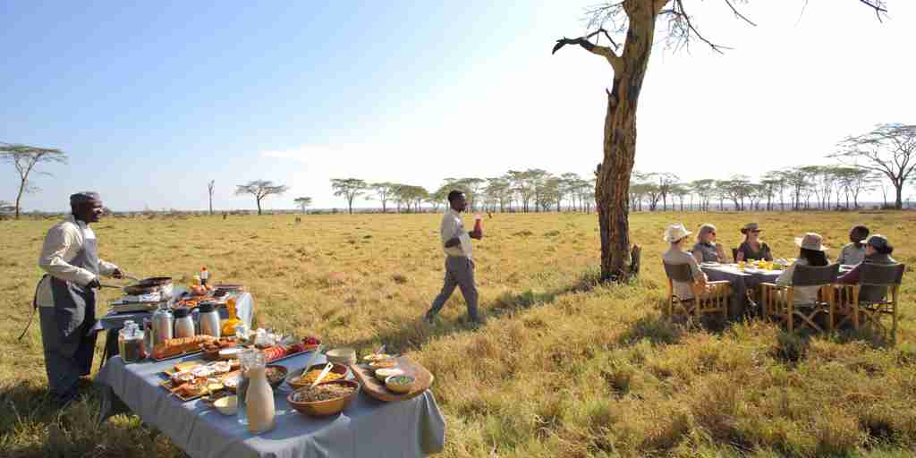 breakfast fever tree forest namiri plains tanzania yellow zebra safaris