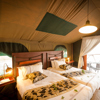 camp savuti botswana twin bedroom yellow zebra safaris