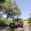 meru wilderness camp kenya river crossing yellow zebra safaris